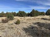 lot 142a Silver Spurs Ranch - Photo 7
