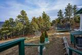 33280 Turkey Creek Lane - Photo 31