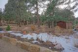 33280 Turkey Creek Lane - Photo 36