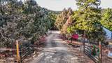 33280 Turkey Creek Lane - Photo 44