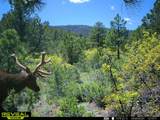 2299 Twin Creek Rd - Photo 21