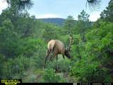 2299 Twin Creek Rd - Photo 22