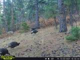 2299 Twin Creek Rd - Photo 25