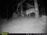 2299 Twin Creek Rd - Photo 27