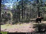 2299 Twin Creek Rd - Photo 30
