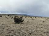 157&191 Turkey Ridge Ranch - Photo 10