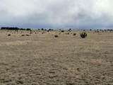 157&191 Turkey Ridge Ranch - Photo 11
