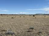 157&191 Turkey Ridge Ranch - Photo 12