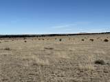 157&191 Turkey Ridge Ranch - Photo 13
