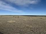 157&191 Turkey Ridge Ranch - Photo 14
