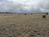 157&191 Turkey Ridge Ranch - Photo 15