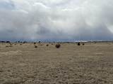 157&191 Turkey Ridge Ranch - Photo 16