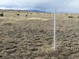 157&191 Turkey Ridge Ranch - Photo 20