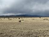157&191 Turkey Ridge Ranch - Photo 8