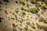 TBD 120 Acres - Photo 11