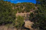 TBD 120 Acres - Photo 14