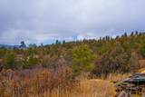 TBD 120 Acres - Photo 20