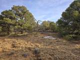34 Navajo Ranch Resorts - Photo 14