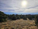34 Navajo Ranch Resorts - Photo 15