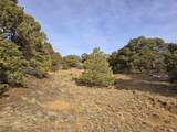 34 Navajo Ranch Resorts - Photo 16