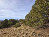 34 Navajo Ranch Resorts - Photo 17