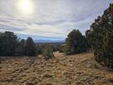 34 Navajo Ranch Resorts - Photo 18