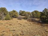 34 Navajo Ranch Resorts - Photo 22