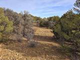 34 Navajo Ranch Resorts - Photo 24