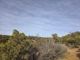 34 Navajo Ranch Resorts - Photo 27