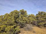 34 Navajo Ranch Resorts - Photo 32