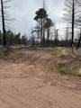 lot 542 Forbes Park - Photo 10