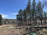 lot 542 Forbes Park - Photo 15