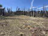 lot 542 Forbes Park - Photo 17