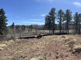 lot 542 Forbes Park - Photo 20
