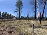 lot 542 Forbes Park - Photo 22