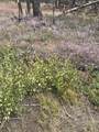 lot 542 Forbes Park - Photo 4