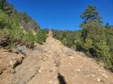 TBD County Road 23.3 - Photo 11