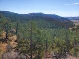TBD County Road 23.3 - Photo 12