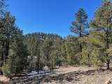 TBD County Road 23.3 - Photo 32