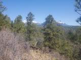 TBD County Road 23.3 - Photo 5