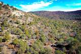 Lot 14 Fishers Peak Ranch - Photo 16