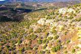 Lot 14 Fishers Peak Ranch - Photo 6