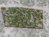 000 Upper Moss Rock Rd - Photo 32