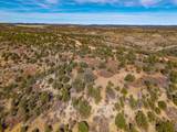 12222 Elk Run Rd - Photo 14