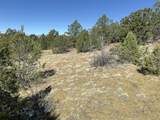 12222 Elk Run Rd - Photo 18