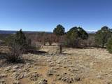 12222 Elk Run Rd - Photo 20