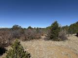 12222 Elk Run Rd - Photo 21