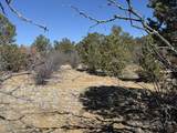 12222 Elk Run Rd - Photo 23