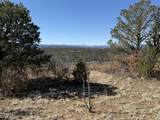12222 Elk Run Rd - Photo 24
