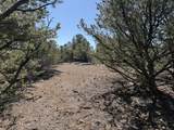 12222 Elk Run Rd - Photo 28